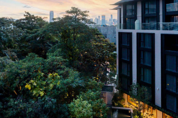 Pic-Portfolio-Gardina-Asoke-3